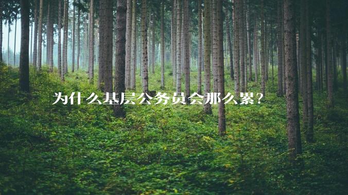 为什么基层公务员会那么累？