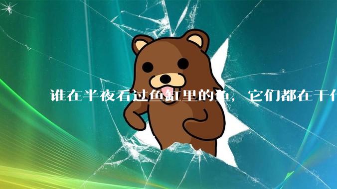 谁在半夜看过鱼缸里的鱼，它们都在干什么？